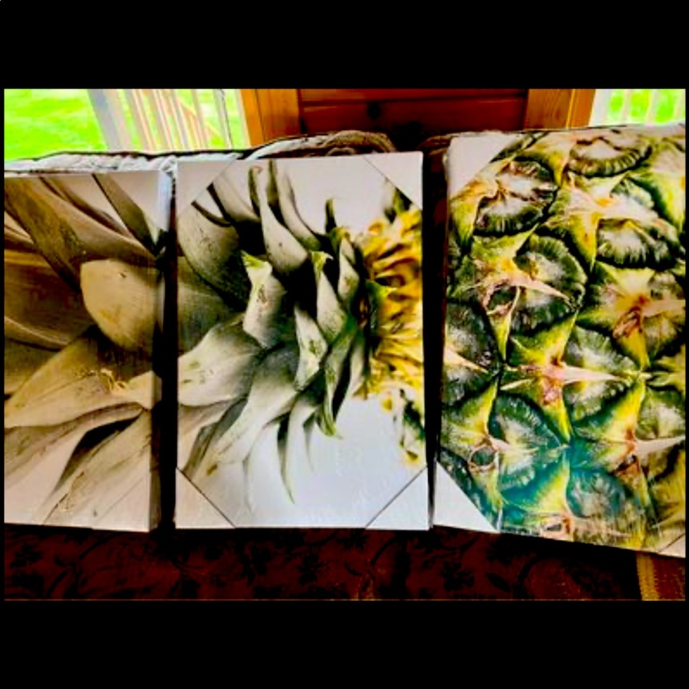 Pineapple Canvas Set of 3